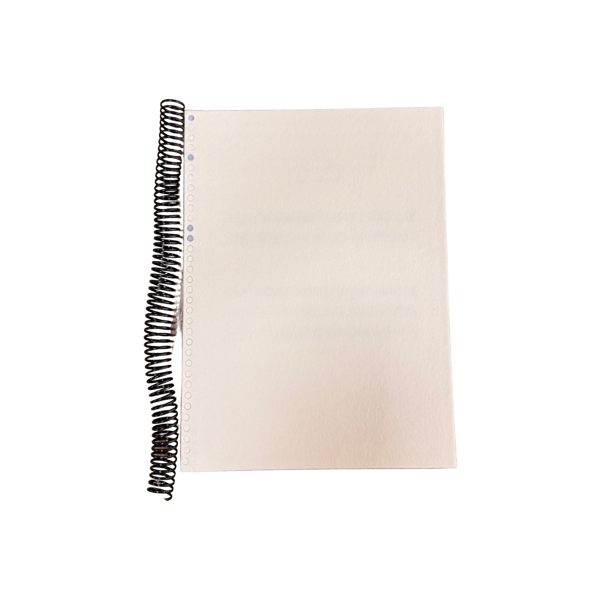 Caderno Universitário 96Fls Capa Pet